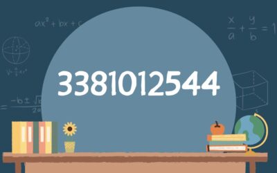 Exploring the Enigma of 3381012544